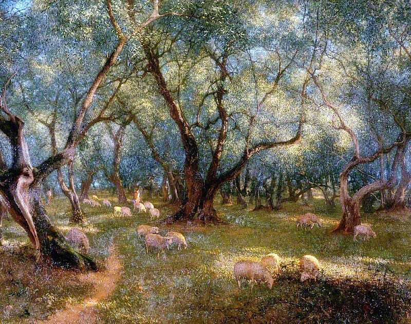 Olives of St Rocco, vintage artwork by Thomas Bowman Garvie, 12x8" (A4) Poster