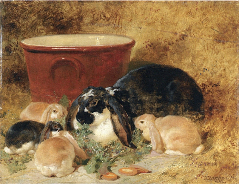 A Doe Rabbit and Her Kits in an Interior, vintage artwork by John Frederick Herring, Sr, A3 (16x12") Poster Print