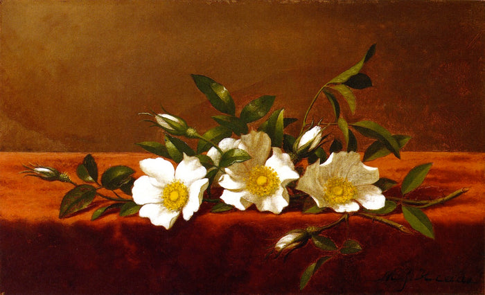 Cherokee Roses, vintage artwork by Martin Johnson Heade, A3 (16x12
