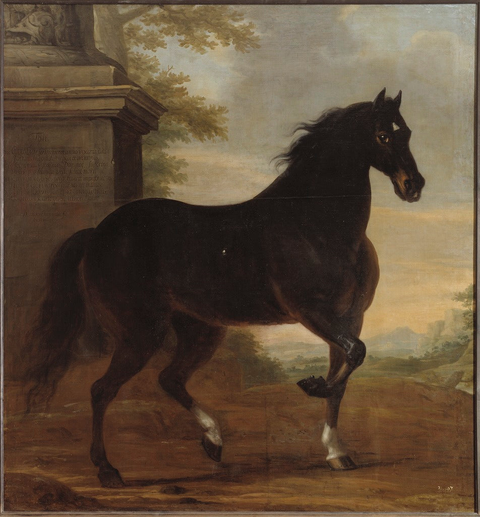 King Karl XI's Horse 'Tott', vintage artwork by David Klocker Ehrenstrahl, 12x8" (A4) Poster