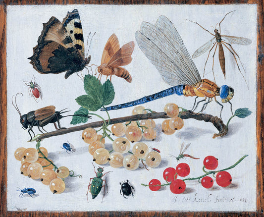 A Dragonfly, Butterflies and Insects with Berries, vintage artwork by Jan van Kessel the Elder, 12x8" (A4) Poster