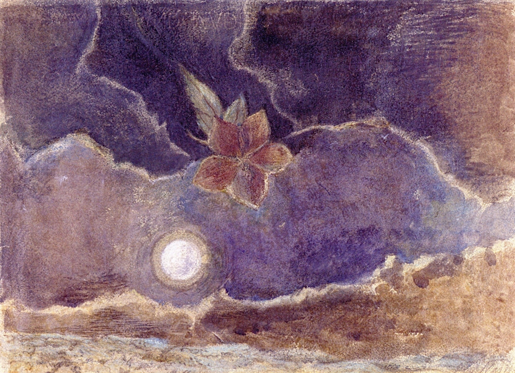 Nocturnal Flower by Paul Nash,16x12(A3) Poster