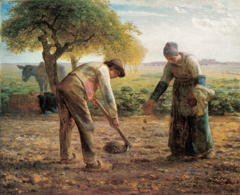 Potato Planters, vintage artwork by Jean-François Millet, A3 (16x12") Poster Print