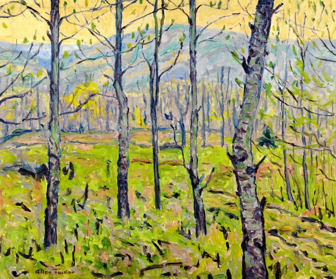 April Aspens, vintage artwork by Allen Tucker, 12x8" (A4) Poster