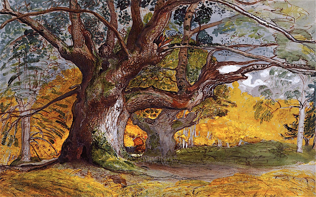 Oak Trees, Lullingstone Park, vintage artwork by Samuel Palmer, A3 (16x12") Poster Print