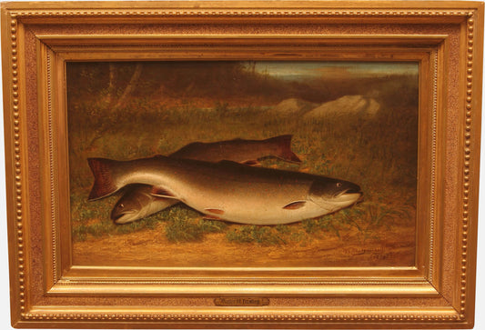 Trout on a Bank, vintage artwork by Walter M. Brackett, 12x8" (A4) Poster