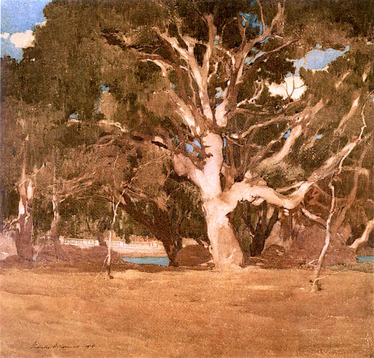 California Oaks, vintage artwork by Francis John McComas, 12x8" (A4) Poster