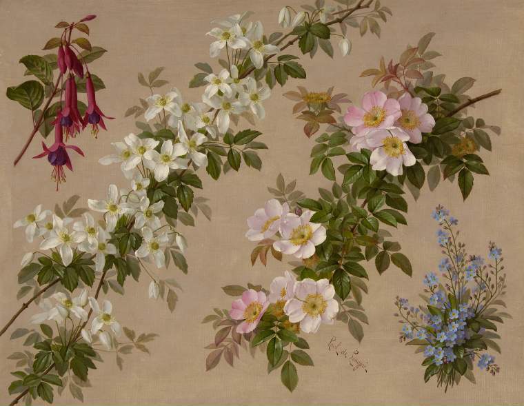 Wild roses and various other flowers and shrubs, vintage artwork by Paul De Longpre, 12x8" (A4) Poster