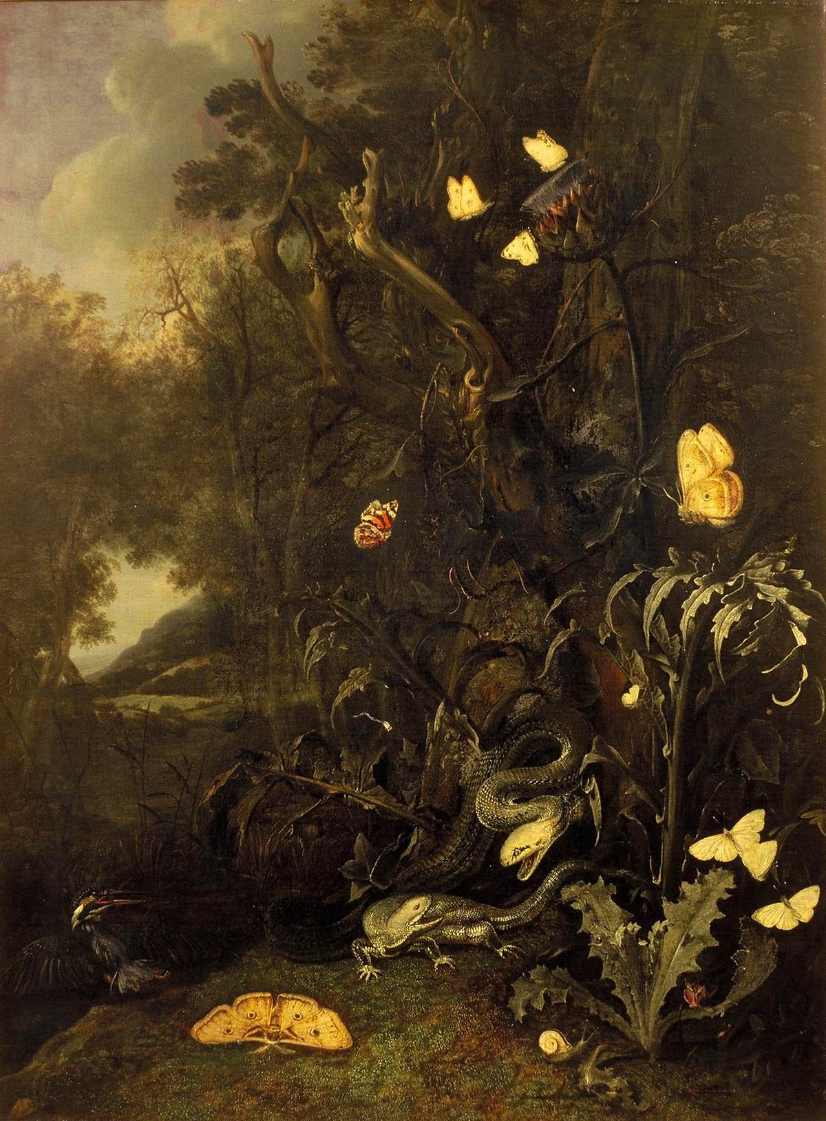 Plants and Insects, vintage artwork by Otto van Schrieck, 12x8" (A4) Poster