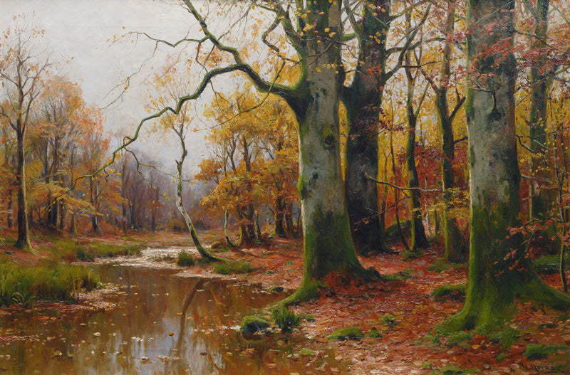 Creek in an Autumnal Forest by Walter Moras,A3(16x12")Poster
