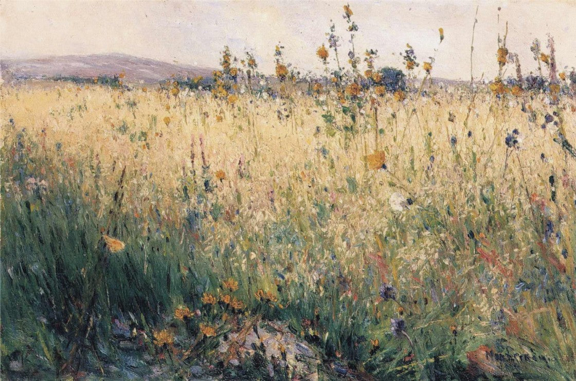 Oat Field, Lyron by Karl Nordstrom,A3(16x12")Poster