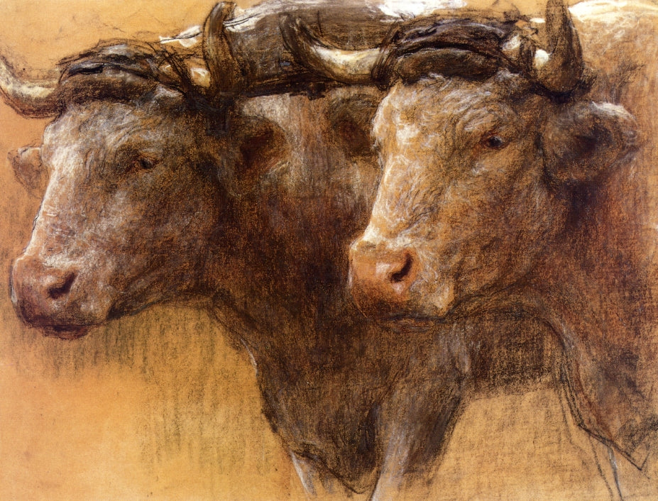 Heads of Two Oxen, Study for 'La Famille', vintage artwork by Leon Augustin Lhermitte, 12x8" (A4) Poster