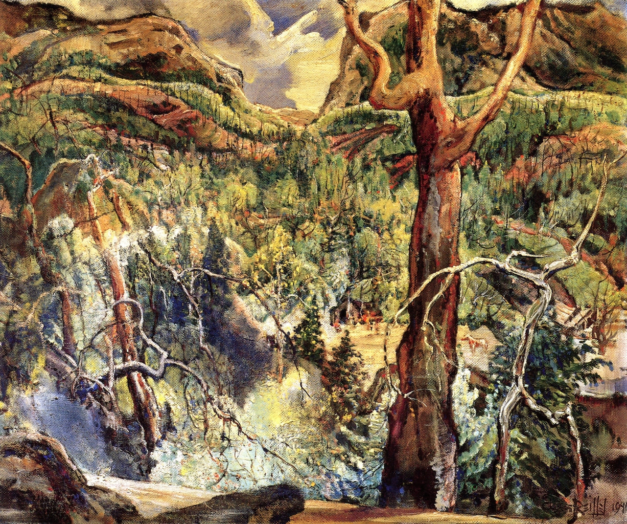 Volcan Indian Reservation by Charles Reiffel,A3(16x12")Poster