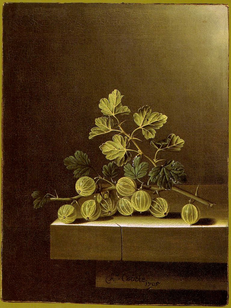 Spray of Green Gooseberries on a Stone Plinth, vintage artwork by Adriaen Coorte, 12x8" (A4) Poster