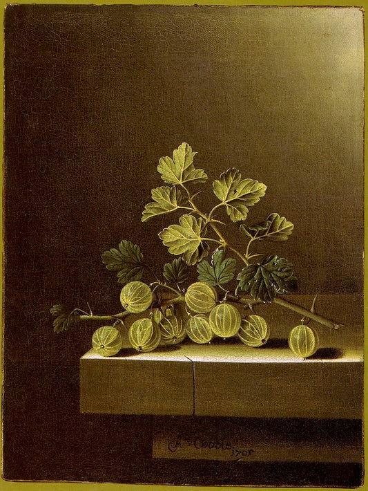 Spray of Green Gooseberries on a Stone Plinth, vintage artwork by Adriaen Coorte, 12x8" (A4) Poster