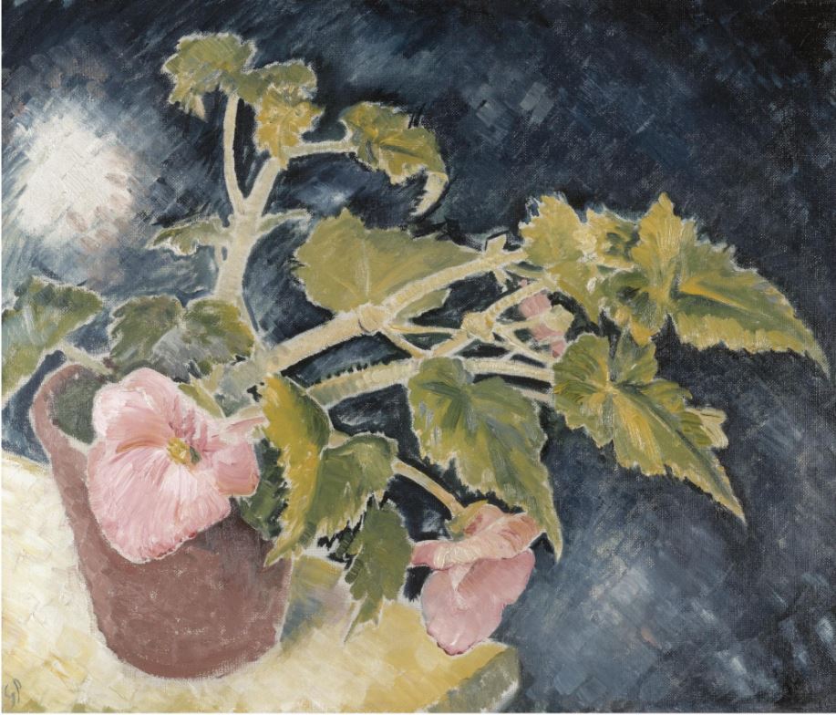 The pink begonia by Glyn Warren Philpot,16x12(A3) Poster