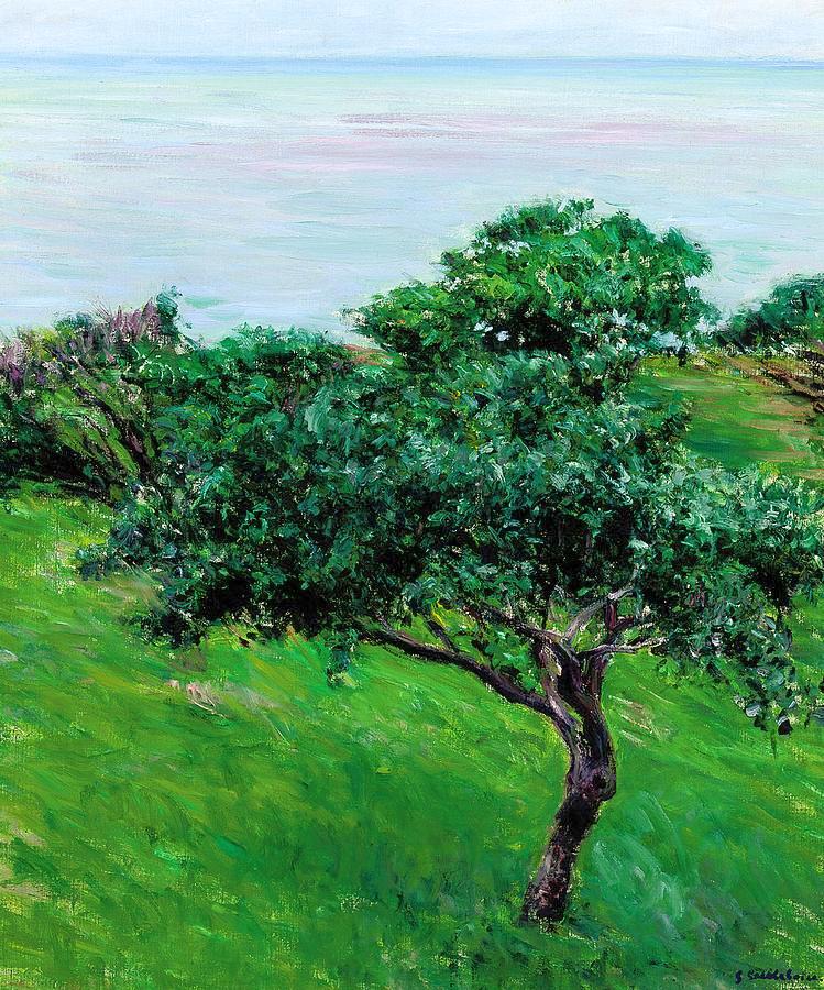 Apple Trees on edge of Sea, Trouville, vintage artwork by Gustave Caillebotte, 12x8" (A4) Poster