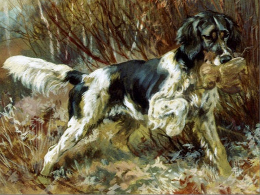 An English Setter Retrieving, vintage artwork by Edmond H. Osthaus, 12x8" (A4) Poster