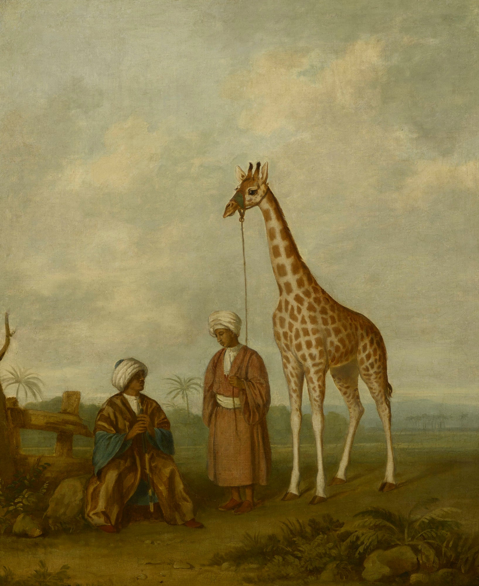 The Nubian Giraffe, vintage artwork by British School 19th Century - Unknown, A3 (16x12") Poster Print