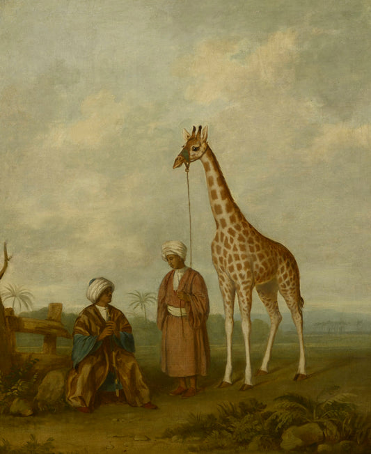 The Nubian Giraffe, vintage artwork by British School 19th Century - Unknown, A3 (16x12") Poster Print