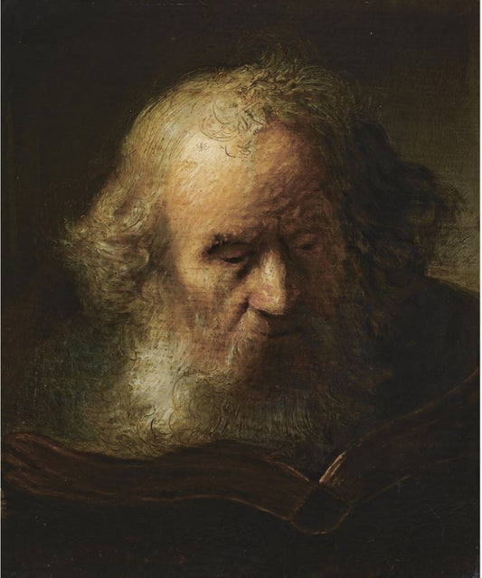 Head of an Old Bearded Man Reading a Book, vintage artwork by Jacques des Rousseaux, 12x8" (A4) Poster