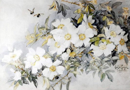 White Roses and Bees, vintage artwork by Paul De Longpre, 12x8" (A4) Poster