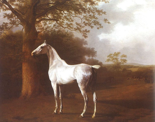 White Horse in Pasture, vintage artwork by Jacques-Laurent Agasse, 12x8" (A4) Poster