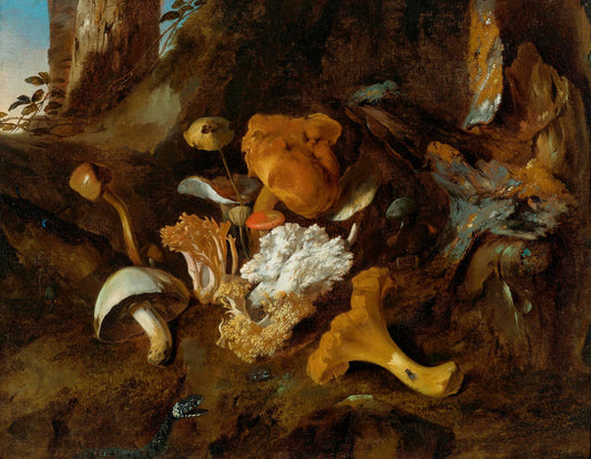 A Forest Floor Still Life with Mushrooms and a Snake, vintage artwork by Otto van Schrieck, 12x8" (A4) Poster