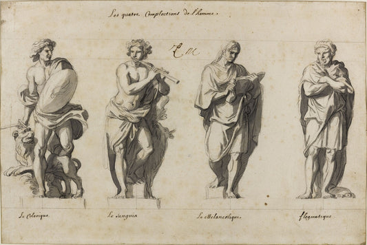 The Four Complexions of Man, vintage artwork by Charles Le Brun, 12x8" (A4) Poster