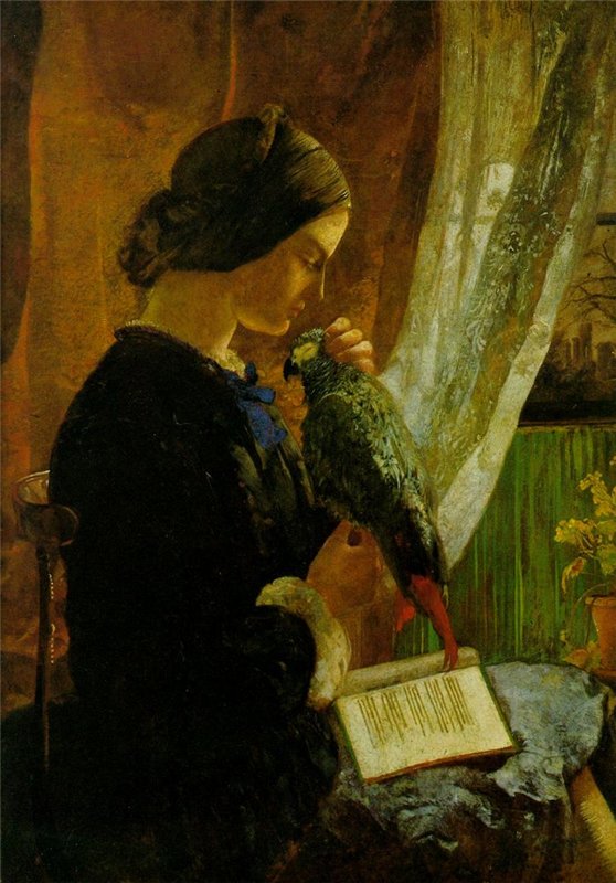 The Grey Parrot, vintage artwork by Walter Howell Deverell, 12x8" (A4) Poster