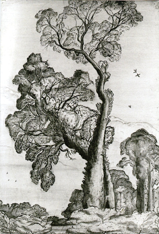 Landscape with a Large Tree by Paul Nash,16x12(A3) Poster