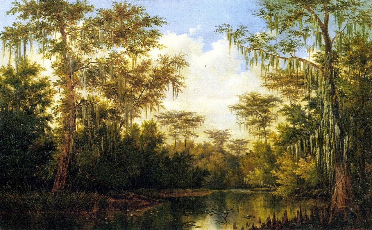 Water Lilies and Spanish Moss, vintage artwork by Henry Chapman Ford, 12x8" (A4) Poster