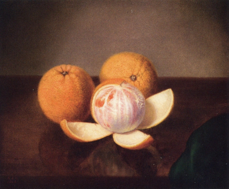 Three Oranges, vintage artwork by Anna Eliza Hardy, 12x8" (A4) Poster