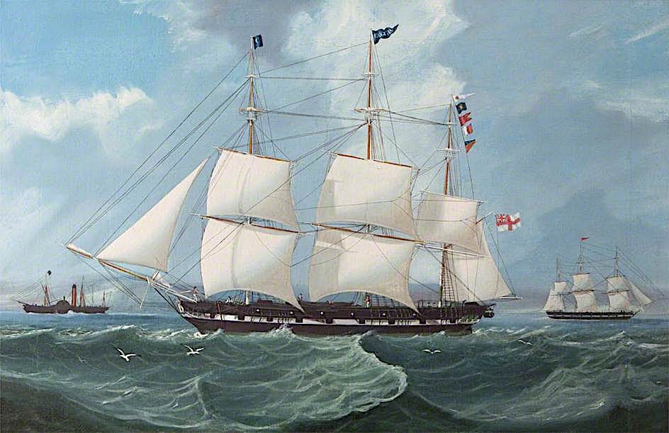 The 'Leguan', vintage artwork by William John Huggins, 12x8" (A4) Poster