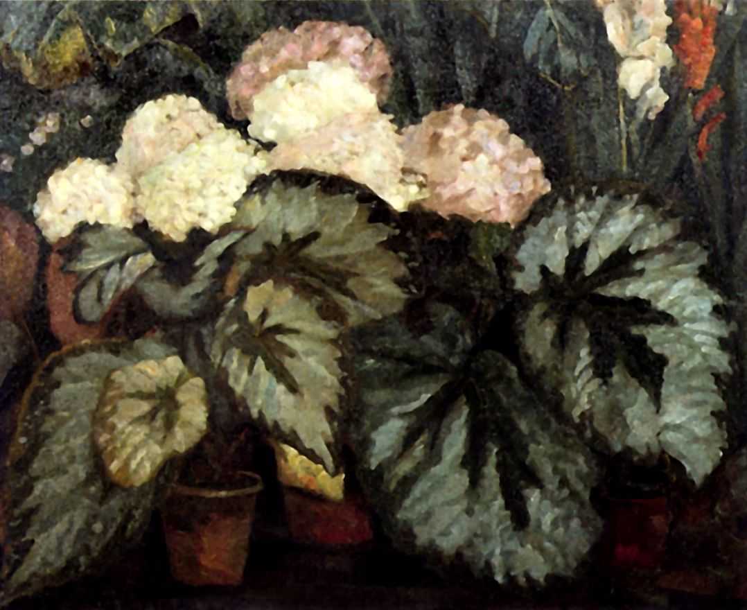 Still Life with Begonias by Nikolai Sapunov,16x12(A3) Poster