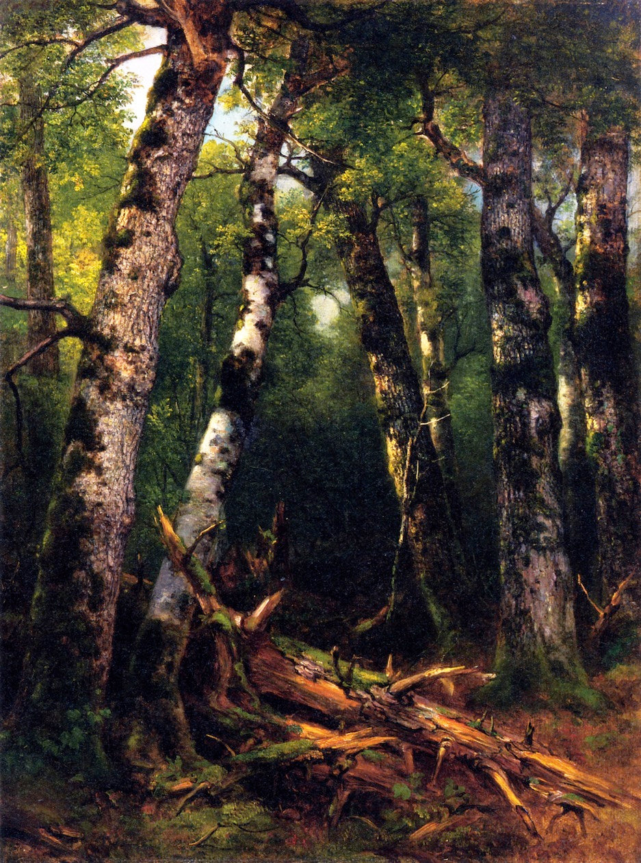 Group of Trees, vintage artwork by Asher Brown Durand, A3 (16x12") Poster Print