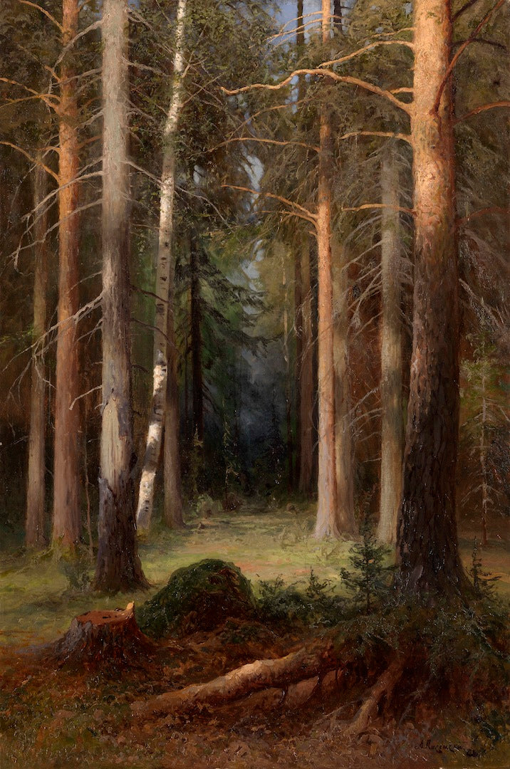 A Pine Grove by Alexei Pisemsky,A3(16x12")Poster