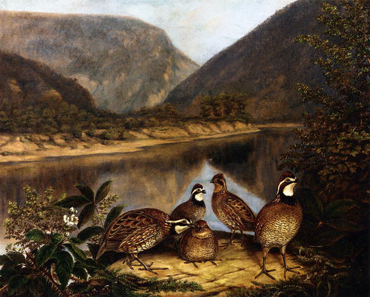 Five Bobwhites at the Delaware Water Gap, vintage artwork by Titian Ramsey Peale II, A3 (16x12") Poster Print