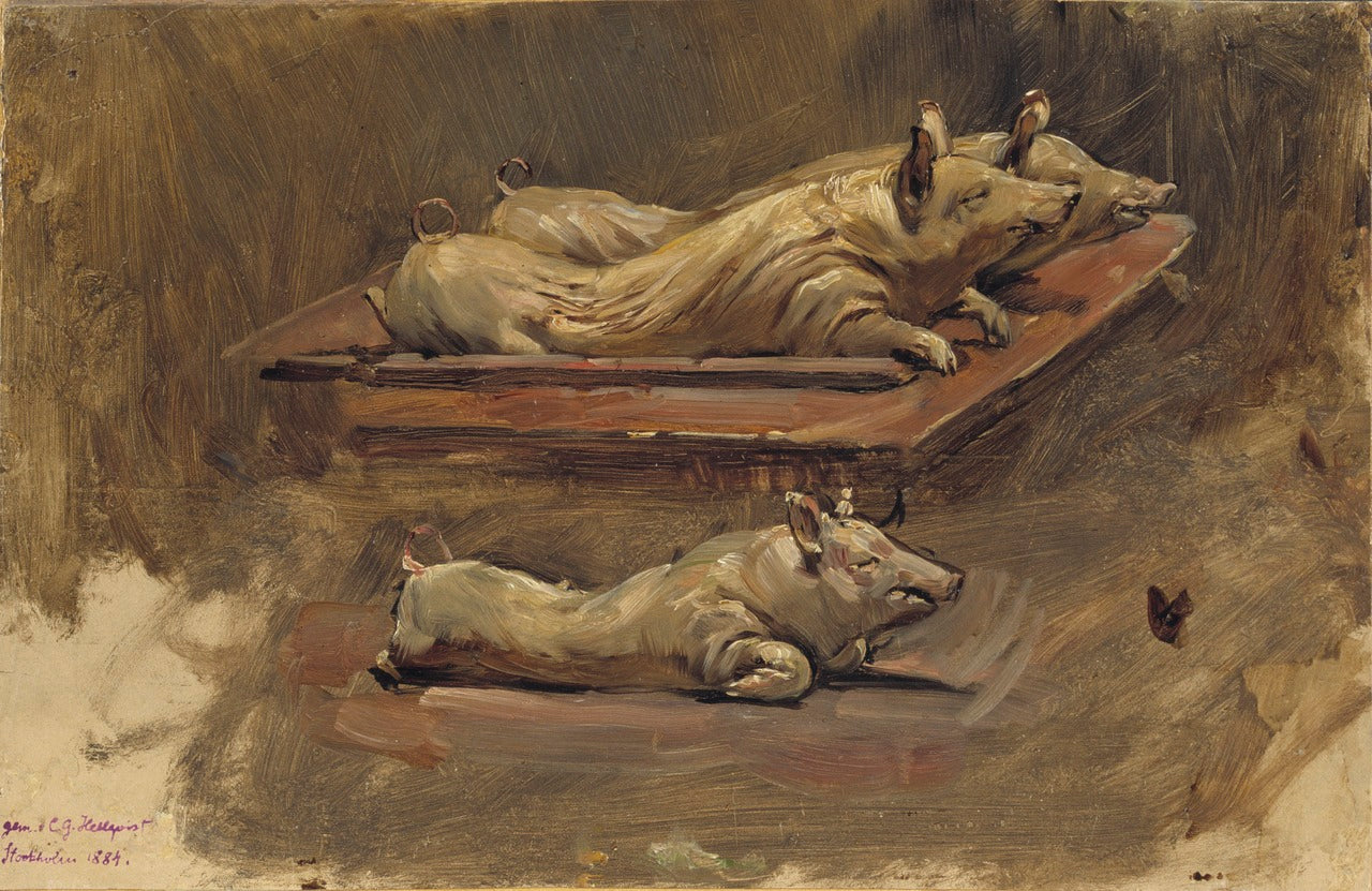 Pigs (Study), vintage artwork by Carl Gustav Hellqvist, 12x8" (A4) Poster