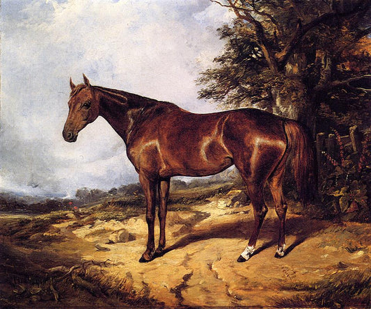 Thoroughbred, vintage artwork by Arthur Fitzwilliam Tait, A3 (16x12") Poster Print