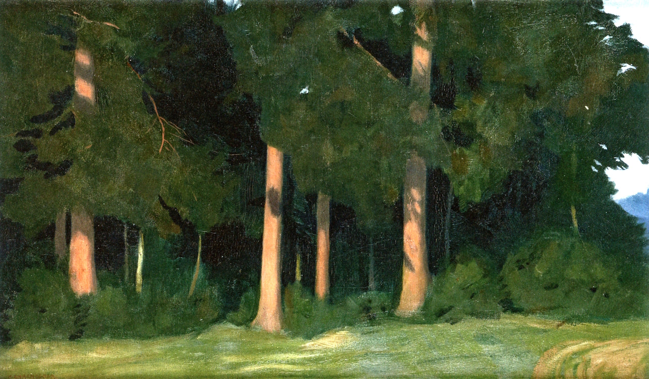 At the Edge of the Forest by Hans Emmenegger,A3(16x12")Poster
