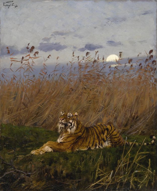 Tiger Among Rushes in Moonlight by Geza Vastagh,A3(16x12")Poster