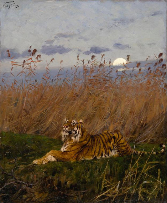 Tiger Among Rushes in Moonlight by Geza Vastagh,A3(16x12")Poster