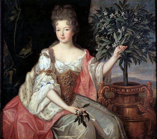 Françoise Marie de Bourbon, duchesse d'Orleans, vintage artwork by Pierre Gobert, 12x8" (A4) Poster