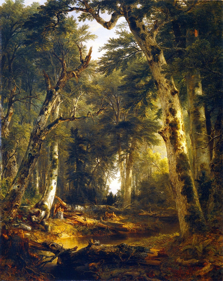 In the Woods, vintage artwork by Asher Brown Durand, A3 (16x12") Poster Print