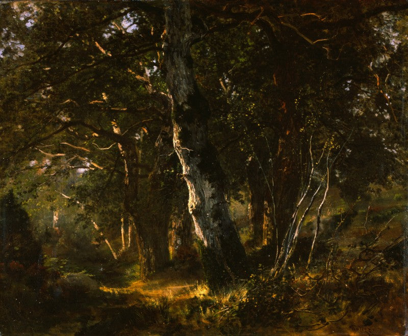 Forest of Fontainebleau, vintage artwork by Giuseppe Palizzi, A3 (16x12") Poster Print