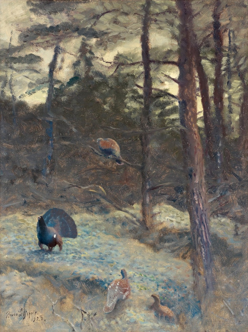 Wood Grouse by Bruno Liljefors,A3(16x12")Poster