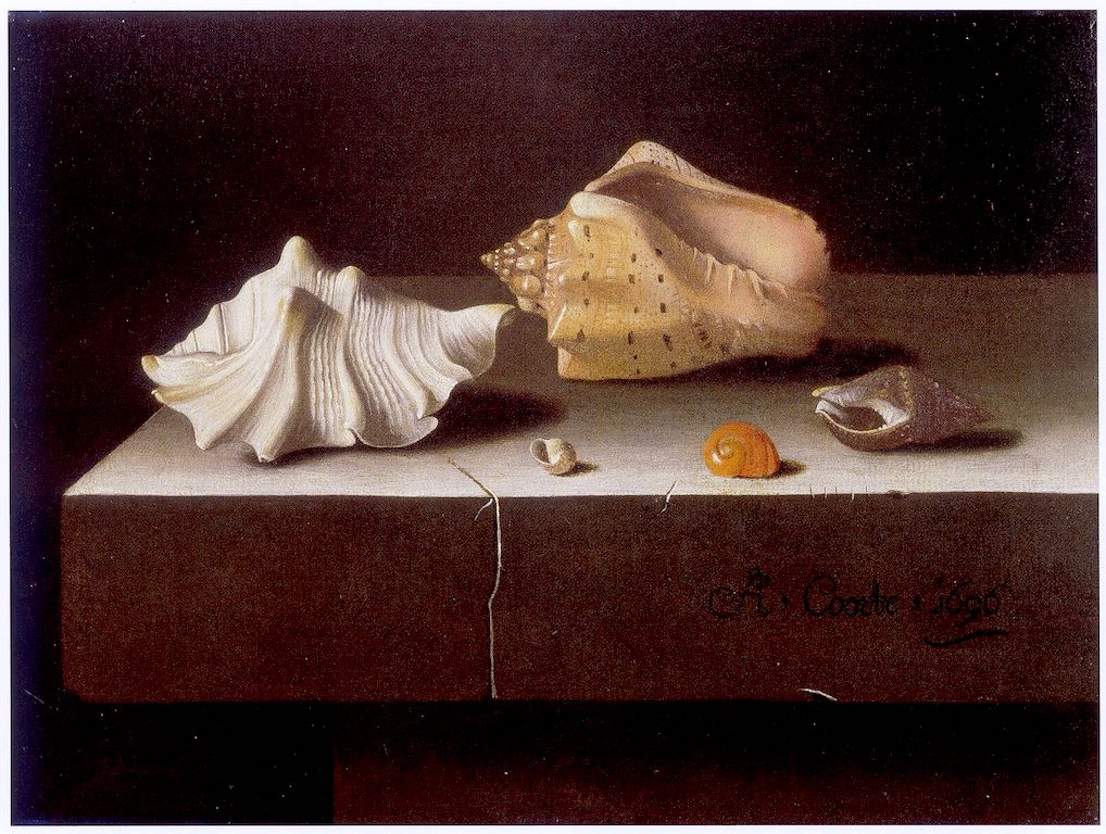 Still Life with Two Large and Three Smaller Shells, vintage artwork by Adriaen Coorte, 12x8" (A4) Poster