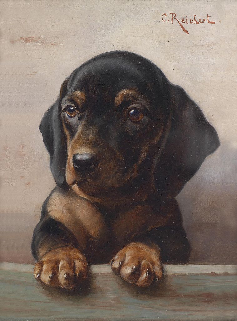 Young dachshund, vintage artwork by Carl Reichert, 12x8" (A4) Poster