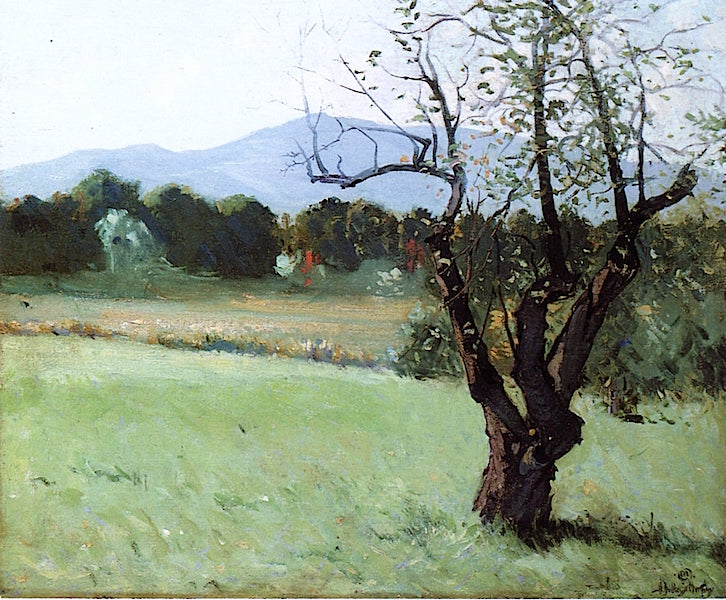 Mount Monadnock by Hermann Dudley Murphy,A3(16x12")Poster